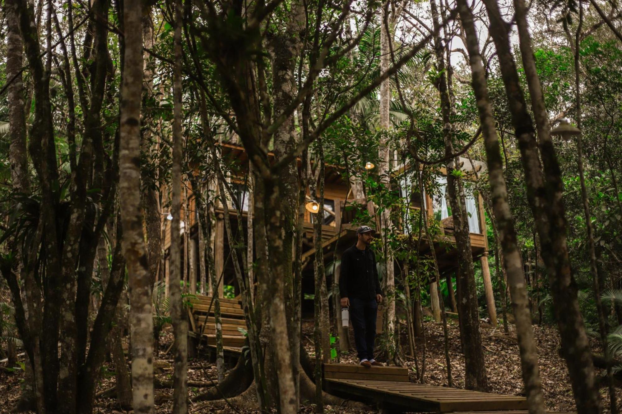 Chale Da Arvore, Vivenda Serra Velha, Chales De Montanha Timbe do Sul Exteriör bild