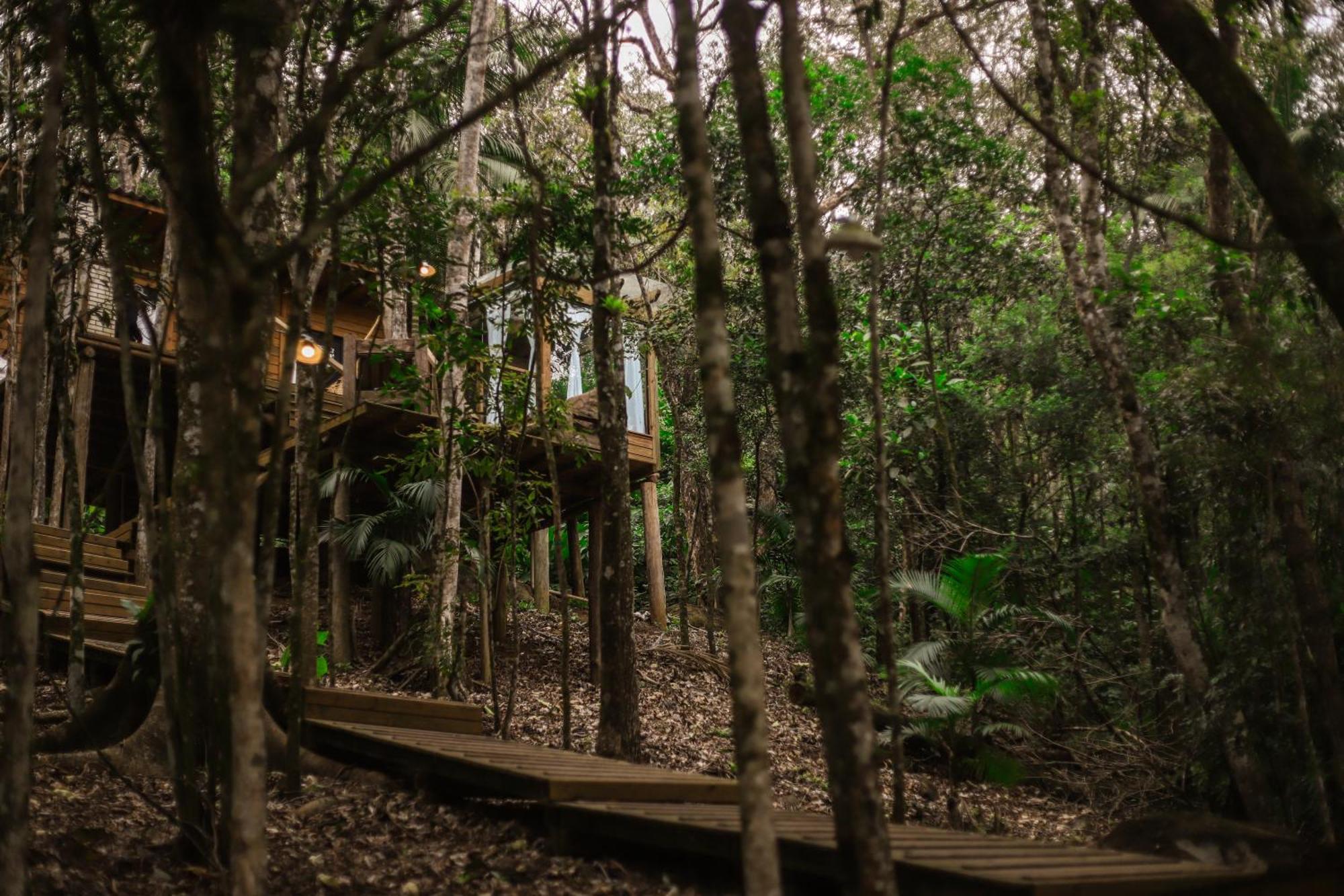 Chale Da Arvore, Vivenda Serra Velha, Chales De Montanha Timbe do Sul Exteriör bild