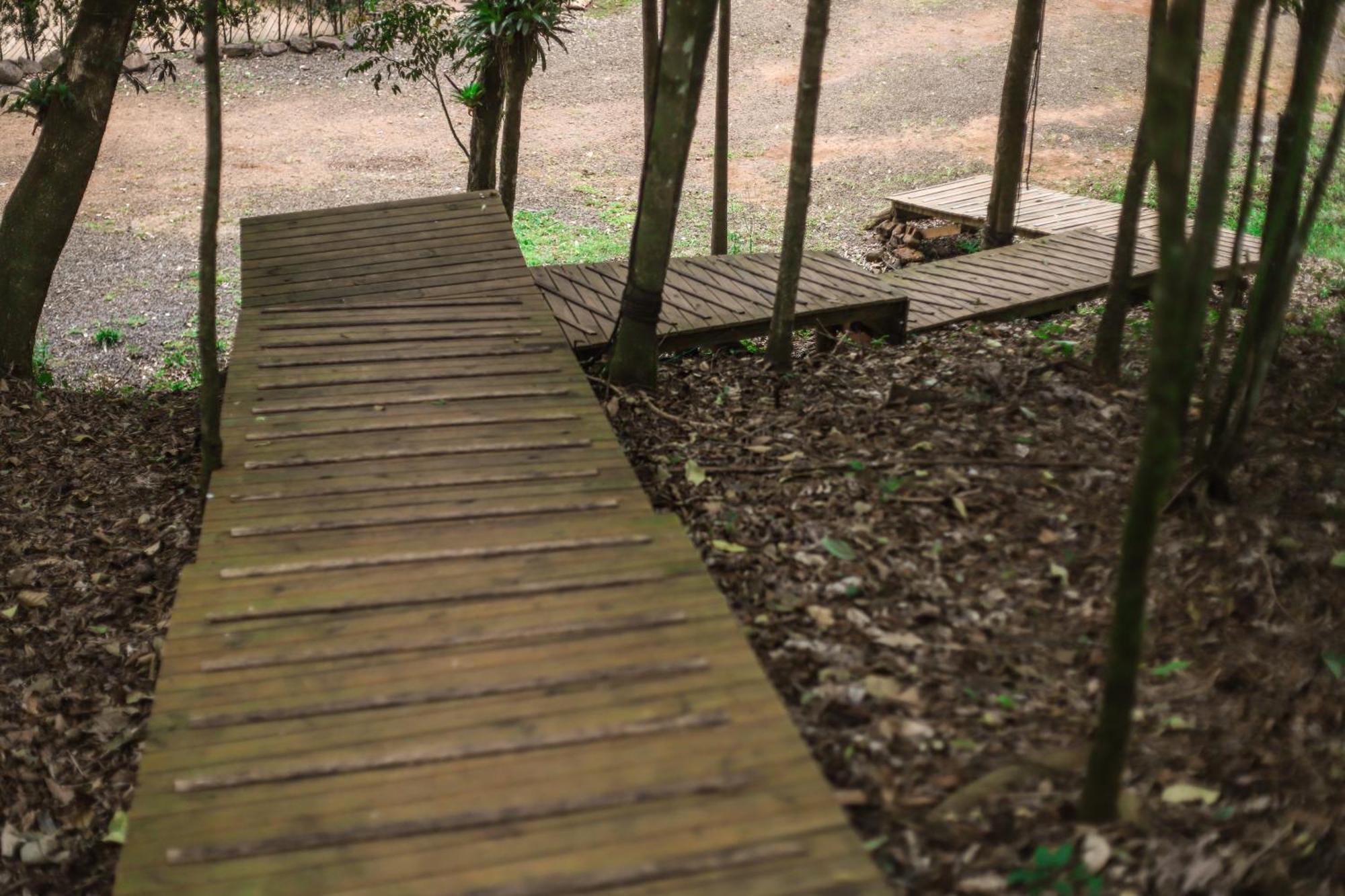 Chale Da Arvore, Vivenda Serra Velha, Chales De Montanha Timbe do Sul Exteriör bild